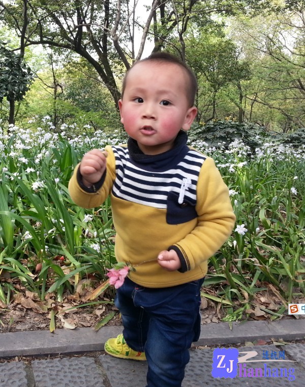 未命名.jpg