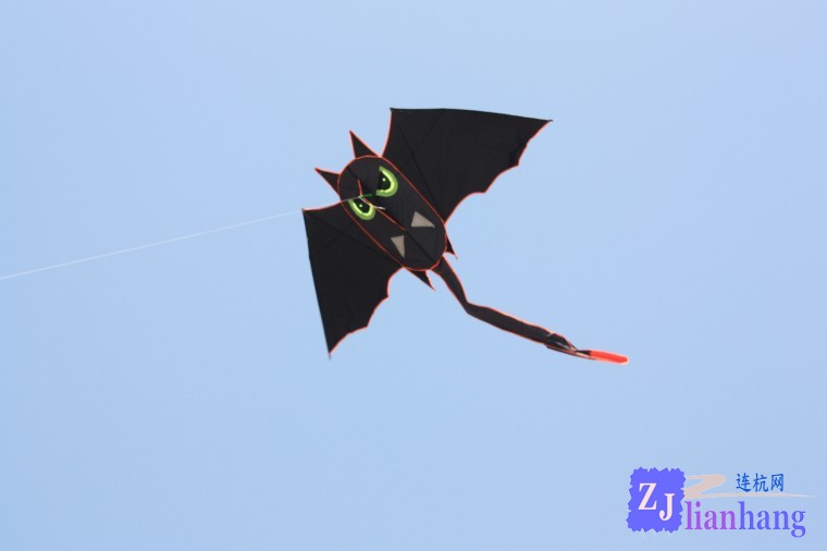 conew_img_3753.jpg