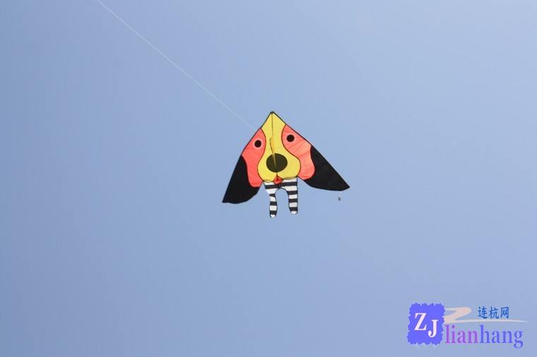 conew_img_3769.jpg