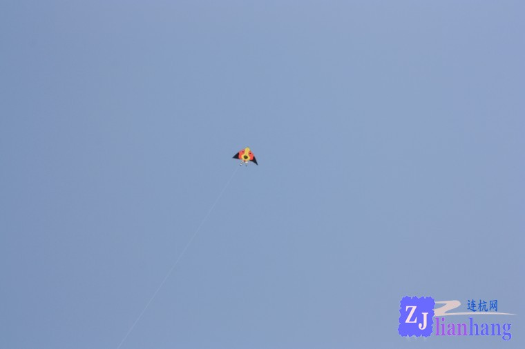 conew_img_3829.jpg