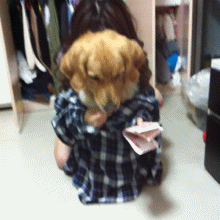 89318f8cjw1e4434el6q6g2064064qoh.gif