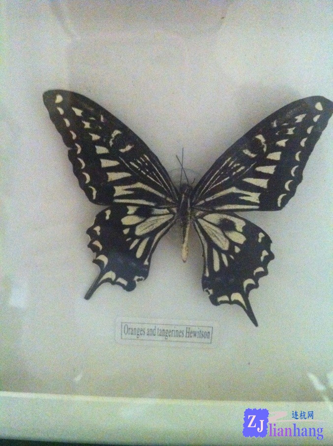 QQ图片20130610092221.jpg