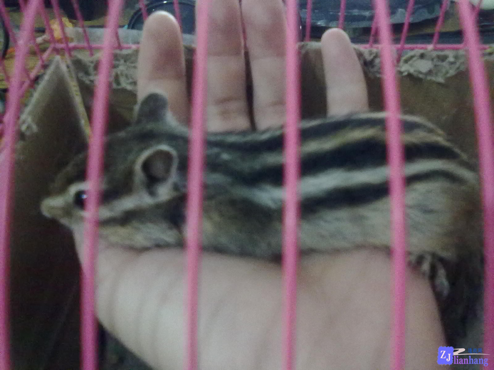 201307111914.jpg