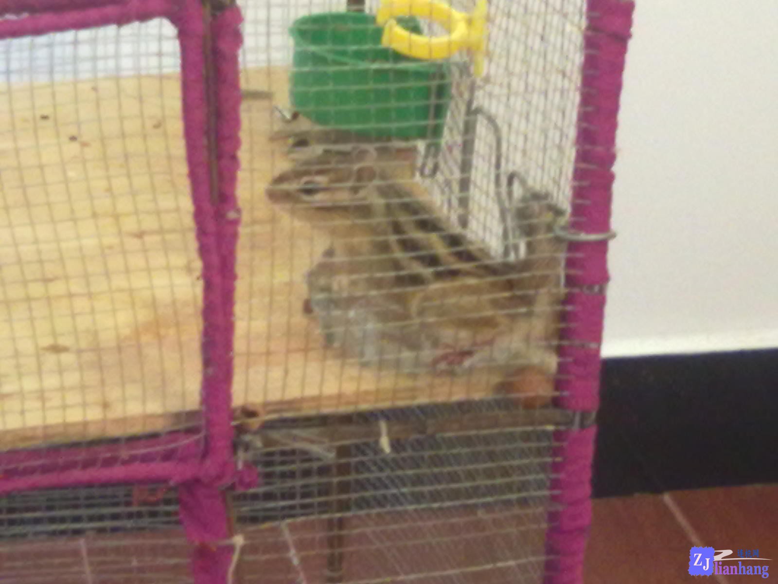 201307111920.jpg