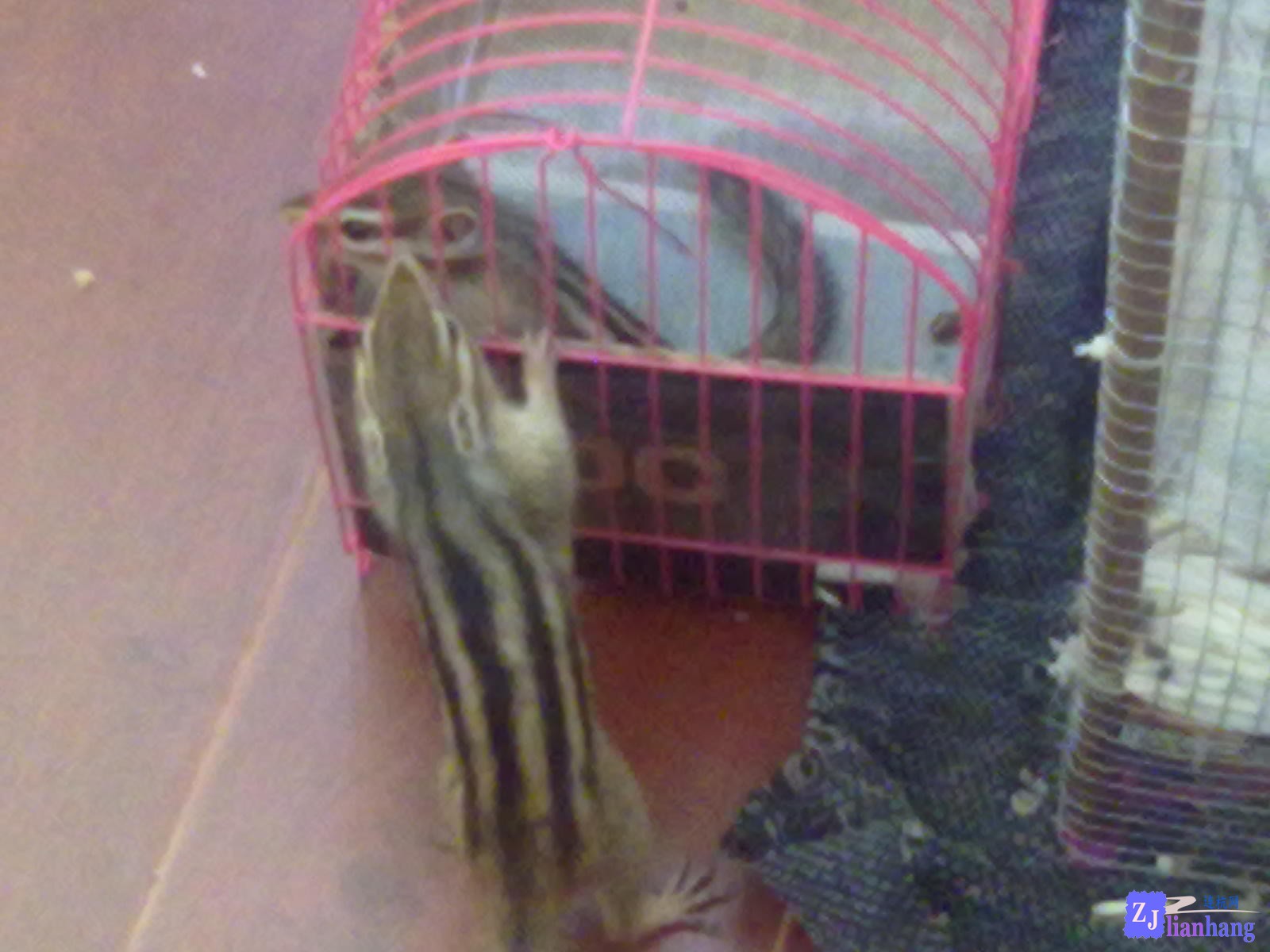 201307111935.jpg