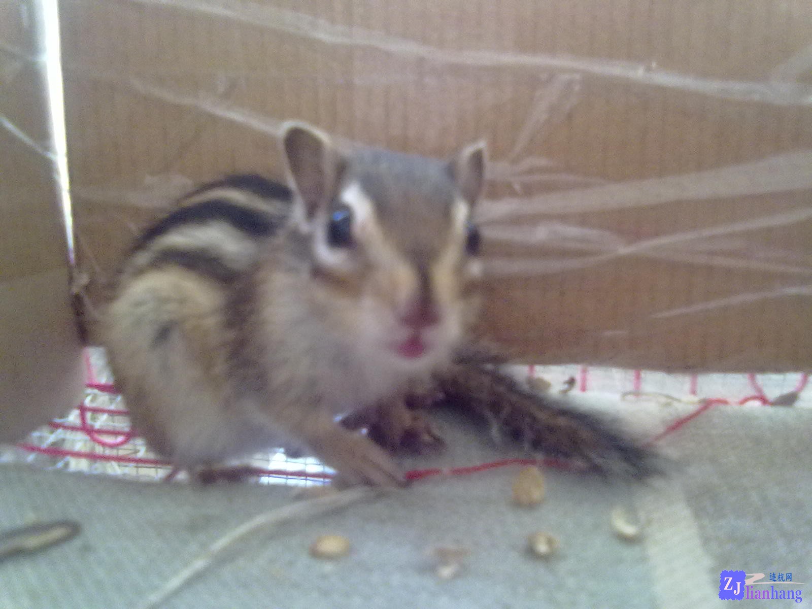 201307111942.jpg