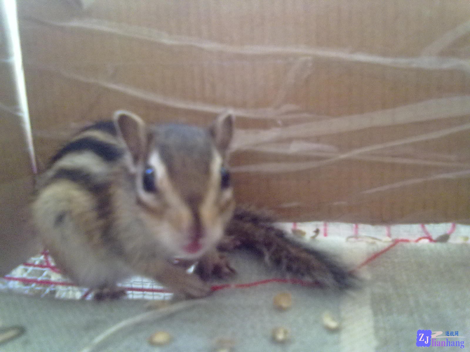 201307111943.jpg
