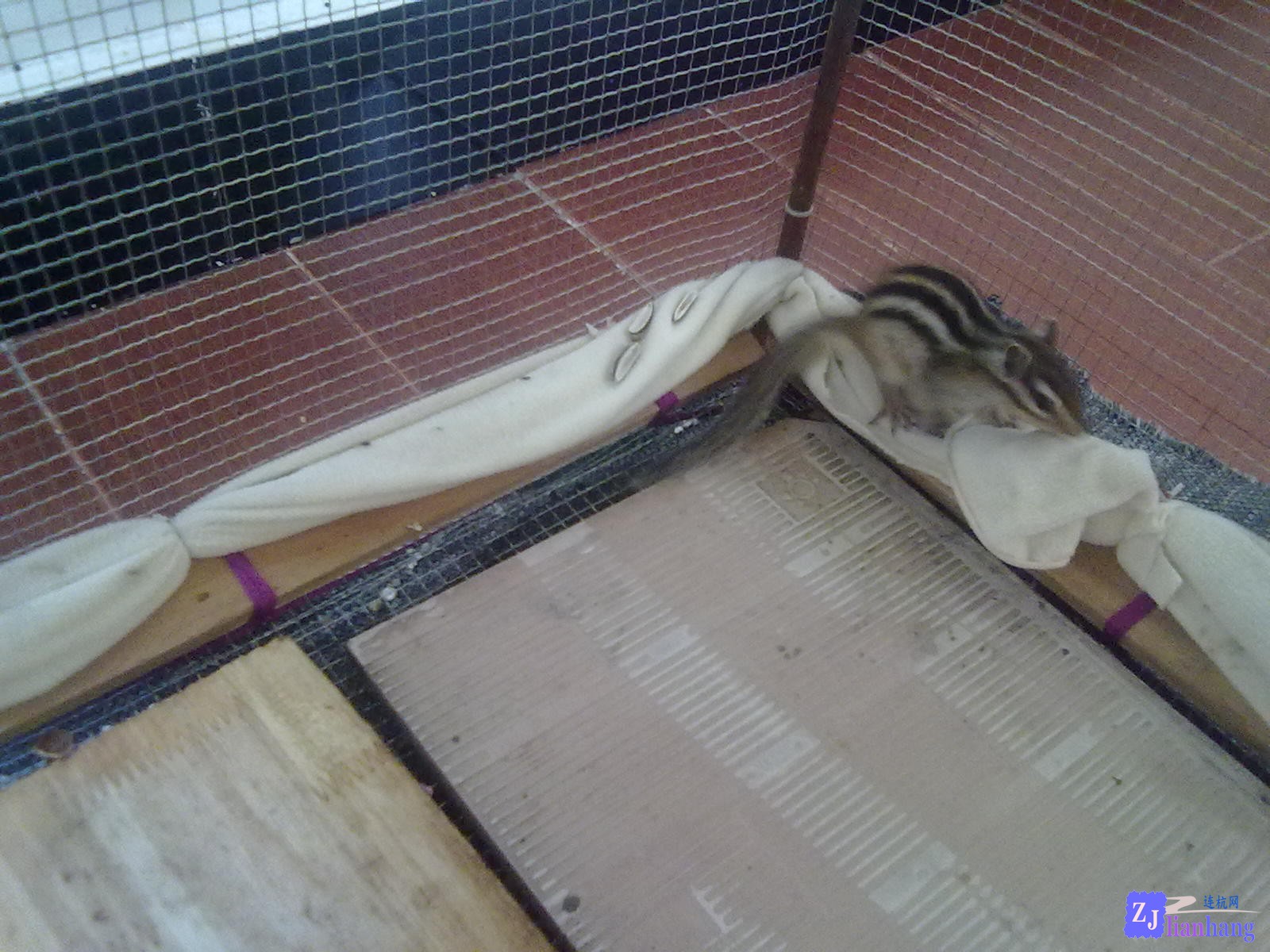 201307111944.jpg