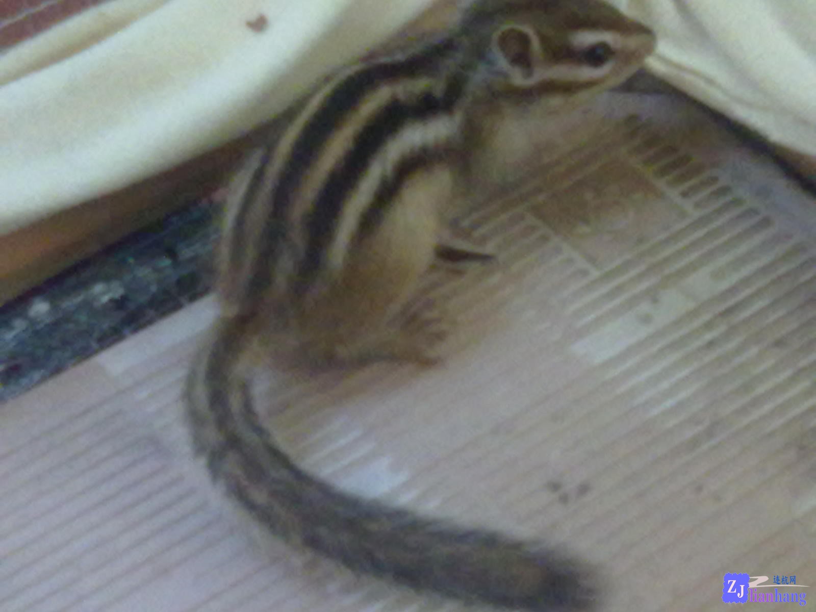 201307111947.jpg