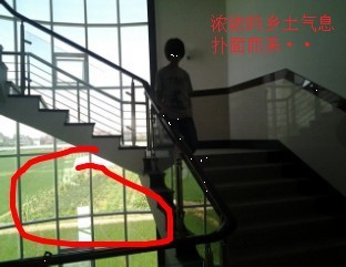 QQ图片20130803125739.jpg